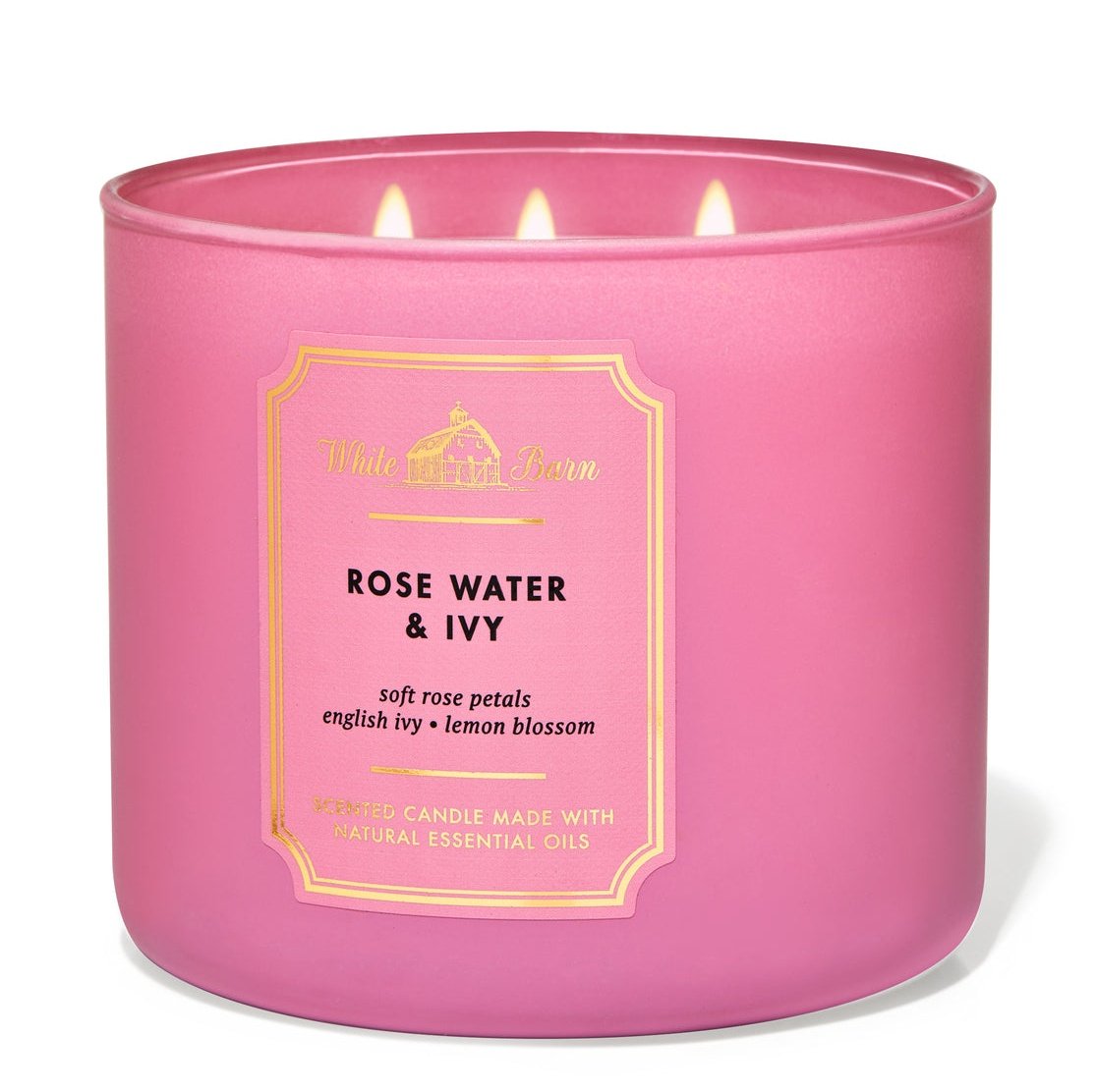 ROSE WATER & IVY 3-Wick Candle
