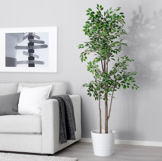 Artificial potted plant, in/outdoor Weeping fig, 21 cm