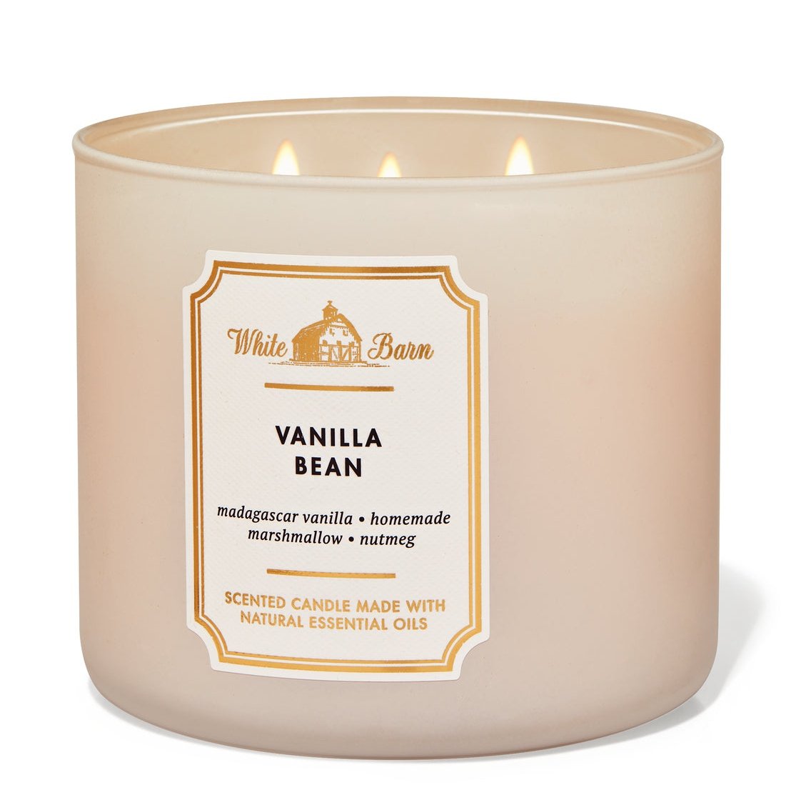 VANILLA BEAN3-Wick Candle