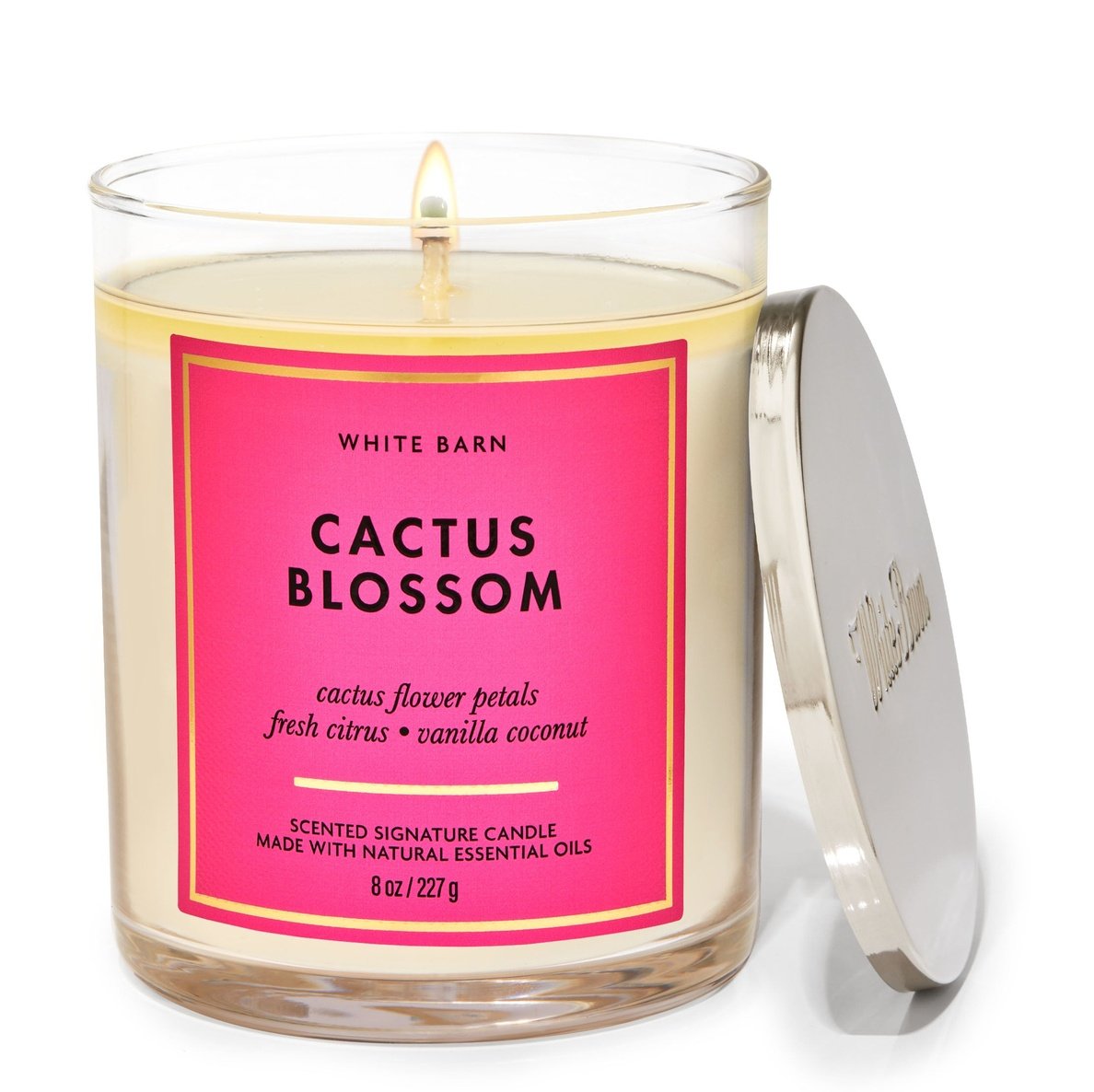 CACTUS BLOSSOMSignature Single Wick Candle