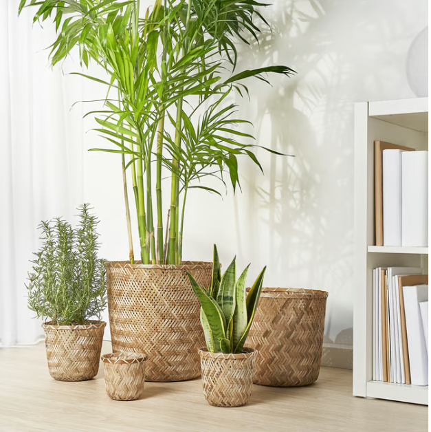 IKEA KLYNNON Plant pot, handmade bamboo, 24 cm