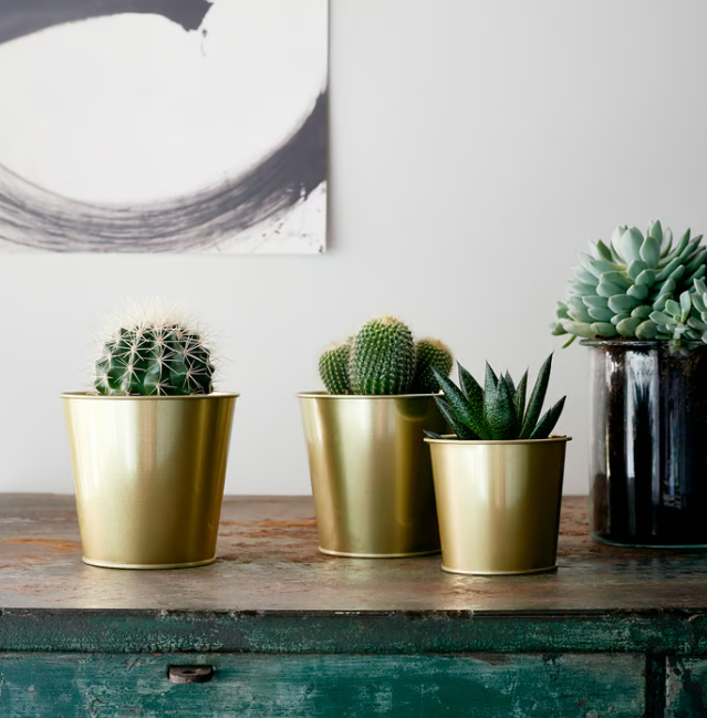 IIKEA DAIDAI Plant pot, brass-colour, 9 cm