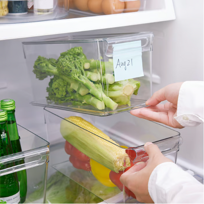 IKEA KLIPPKAKTUS Storage box for fridge, transparent