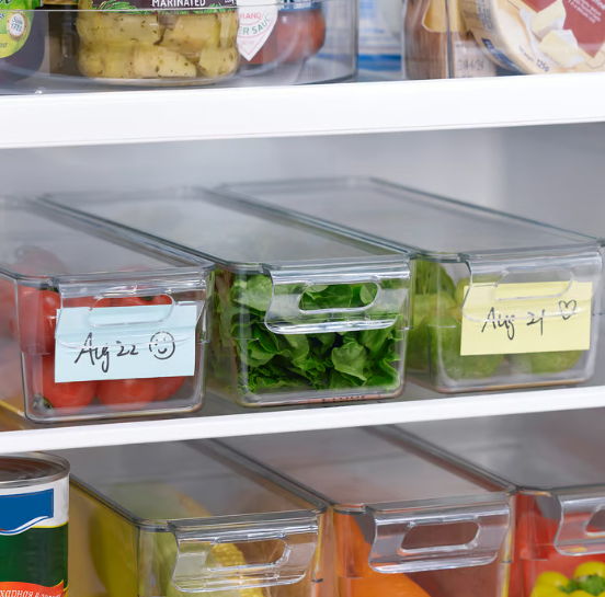 IKEA KLIPPKAKTUS Storage box for fridge, transparent